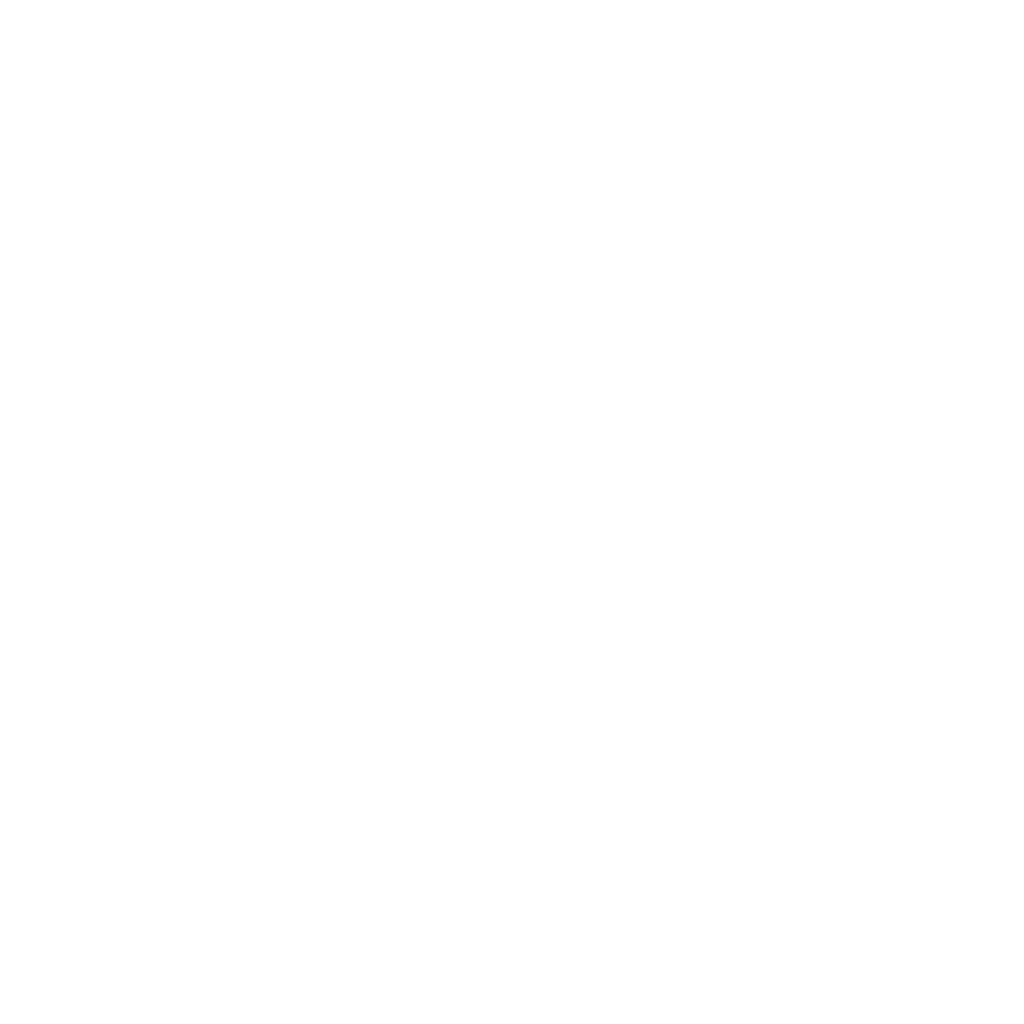 Logo-Belle-Etoile-blanc